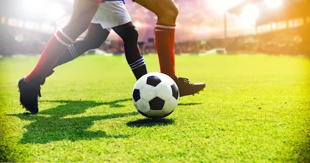 领先的体育平台